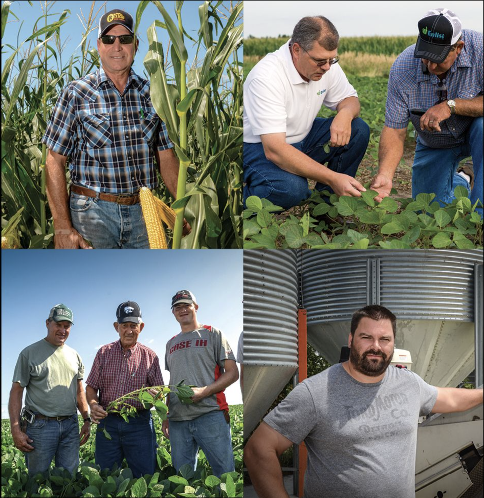 Customer Testimonials