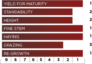Sugar Sweet Bmr Plant Traits