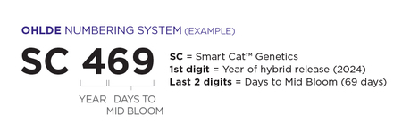 Ohlde Smart Cat Numbering System